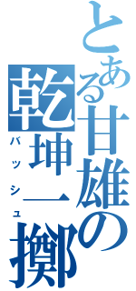 とある甘雄の乾坤一擲（バッシュ）