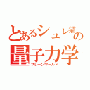 とあるシュレ猫の量子力学（ブレーンワールド）