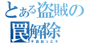 とある盗賊の罠解除（＊おおっと＊）