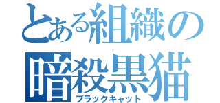 とある組織の暗殺黒猫（ブラックキャット）