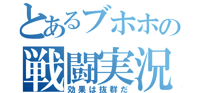 とあるブホホの戦闘実況（効果は抜群だ）