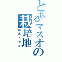 とあるマスオの栽培地（鈴木さやか）