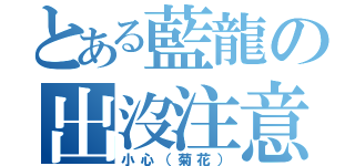 とある藍龍の出沒注意！（小心（菊花））