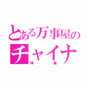 とある万事屋のチャイナ娘（神楽）