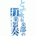 とある吹奏楽部の打楽器奏者（パーカッション）