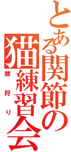 とある関節の猫練習会（膝狩り）