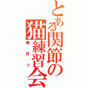 とある関節の猫練習会（膝狩り）