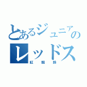 とあるジュニアのレッドスパイダー（紅蜘蛛）