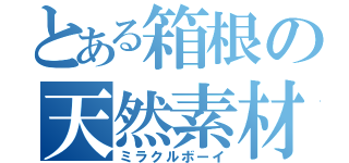 とある箱根の天然素材（ミラクルボーイ）