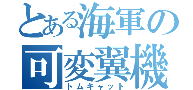 とある海軍の可変翼機（トムキャット）