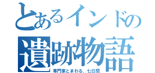 とあるインドの遺跡物語（専門家とまわる、七日間）