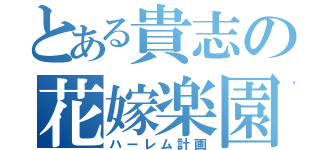 とある貴志の花嫁楽園（ハーレム計画）