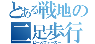 とある戦地の二足歩行（ピースウォーカー）