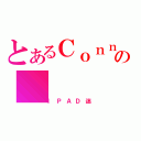 とあるＣｏｎｎｉｅの（ＩＰＡＤ迷）