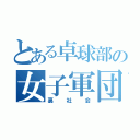 とある卓球部の女子軍団（裏社会）