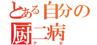 とある自分の厨二病（アホ）