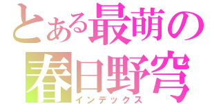 とある最萌の春日野穹（インデックス）