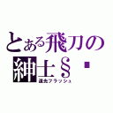 とある飛刀の紳士§貓（道光フラッシュ）