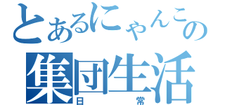 とあるにゃんこの集団生活（日常）