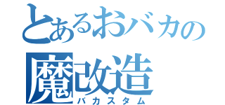 とあるおバカの魔改造（バカスタム）