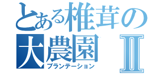 とある椎茸の大農園Ⅱ（プランテーション）