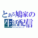 とある鳩家の生活配信（ライフキャスティング）