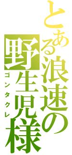 とある浪速の野生児様（ゴンタクレ）