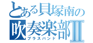 とある貝塚南の吹奏楽部Ⅱ（ブラスバンド）