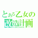 とある乙女の改造計画（ＰＯＮＣＨＡＲＡ）