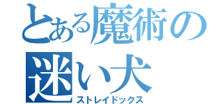 とある魔術の迷い犬（ストレイドックス）