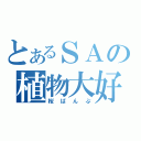 とあるＳＡの植物大好（桜ばんぷ）