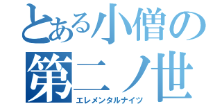 とある小僧の第二ノ世界（エレメンタルナイツ）