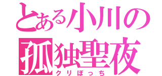 とある小川の孤独聖夜（クリぼっち）