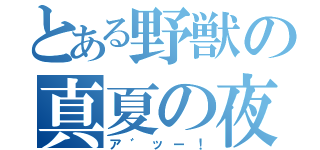 とある野獣の真夏の夜（ア゛ッー！）