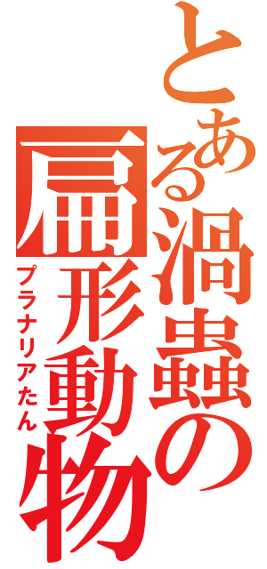 とある渦蟲の扁形動物（プラナリアたん）