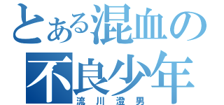 とある混血の不良少年（流川澄男）