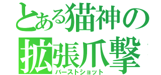 とある猫神の拡張爪撃（バーストショット）