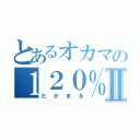 とあるオカマの１２０％エロ番長Ⅱ（たかまる）