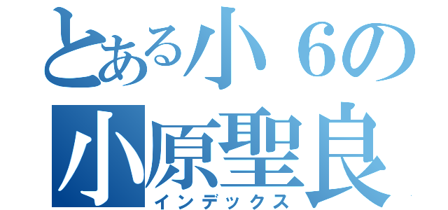 とある小６の小原聖良（インデックス）