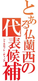 とある仏蘭西の代表候補正（シャルロット・デュノア）