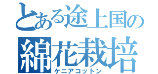 とある途上国の綿花栽培（ケニアコットン）