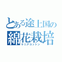 とある途上国の綿花栽培（ケニアコットン）