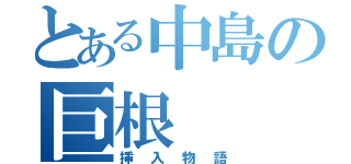 とある中島の巨根（挿入物語）