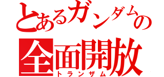 とあるガンダムの全面開放（トランザム）