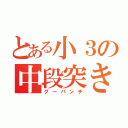 とある小３の中段突き（グーパンチ）