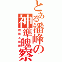 とある潘峰の神準魄察Ⅱ（棍機不解釋）