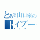 とある山口家のトイプードル（ナッツ）