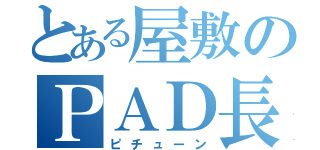 とある屋敷のＰＡＤ長（ピチューン）