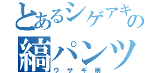 とあるシゲアキの縞パンツ（ウサギ柄）