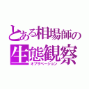 とある相場師の生態観察（オブザベーション）